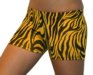 2 1/2" Spandex Shorts (Gold Zebra)